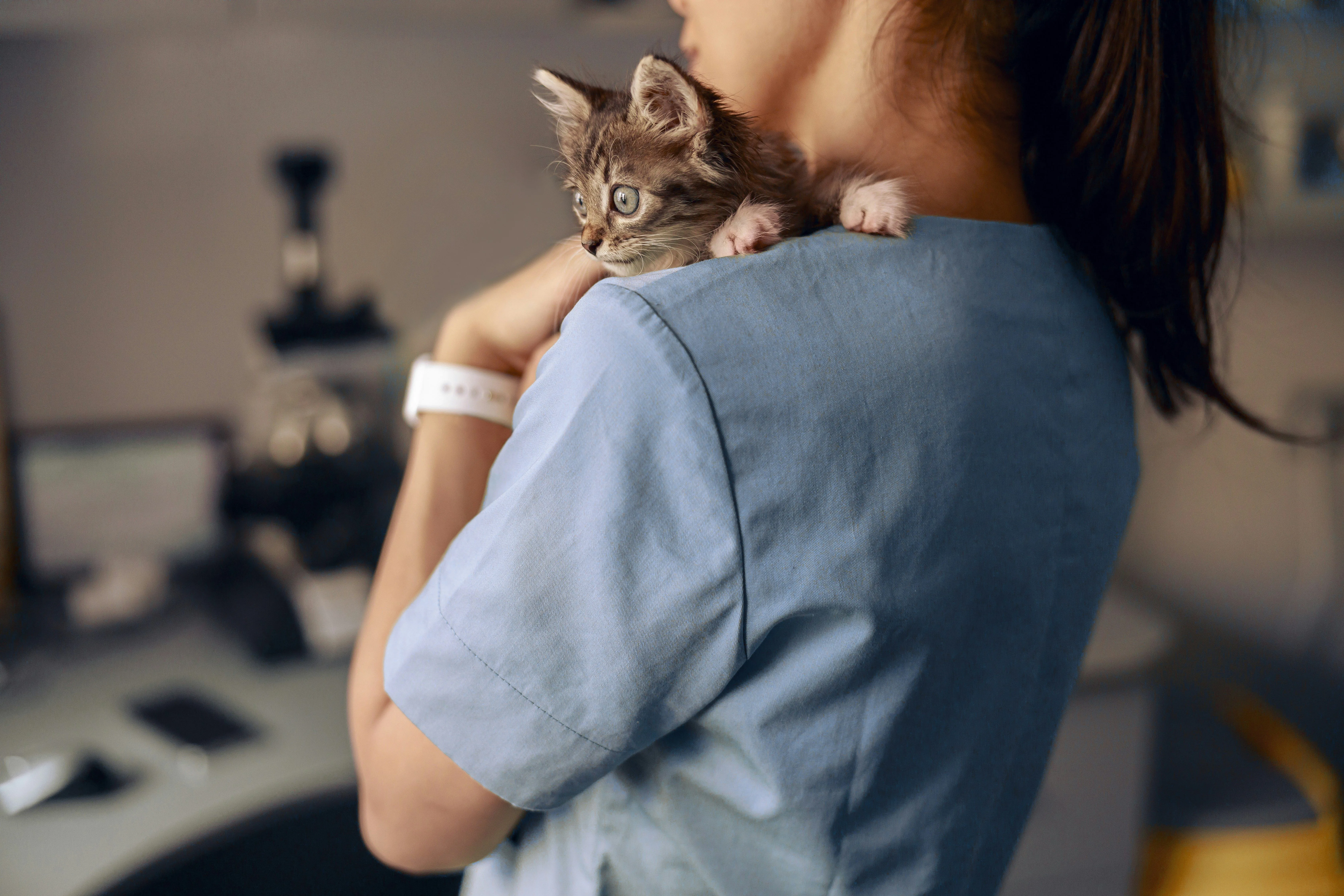10 Things You May Not Know About the Animal Care and Veterinary Services Award – Nurses & Animal Attendants